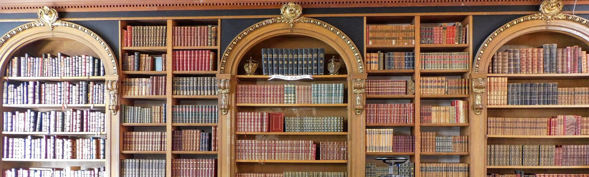 Arch-shaped bookshelves holding leatherbound sets
