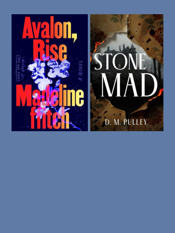 book covers for AVALON, RISE by Madeline ffitch and STONE MAD by D.M. Pulley
