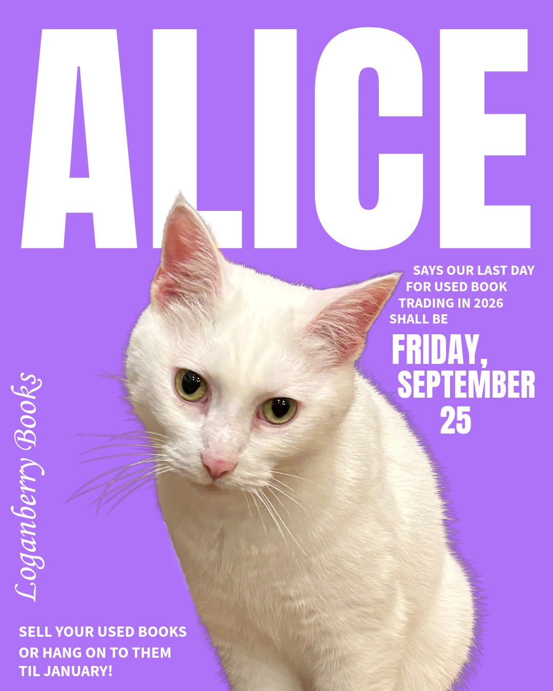 ALICE SAYS the last day of book trading in 2026 shall be Friday, September 25 [image of a cute white cat looking bossy]