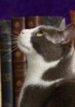 Otis Photo
